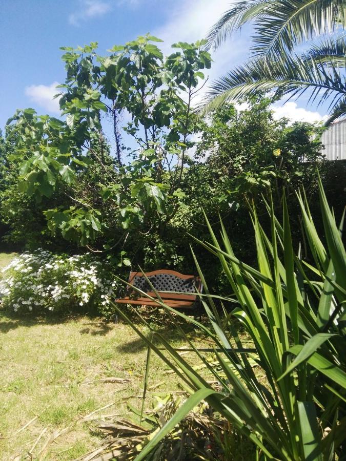 Pisos Vistalegre 2B Con Jardin Cerca Del Mar Διαμέρισμα Sanxenxo Εξωτερικό φωτογραφία