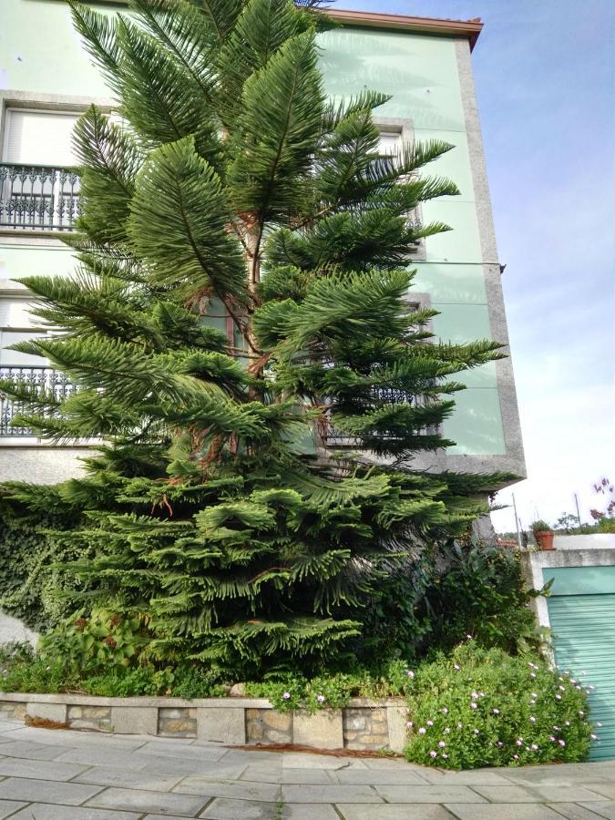Pisos Vistalegre 2B Con Jardin Cerca Del Mar Διαμέρισμα Sanxenxo Εξωτερικό φωτογραφία