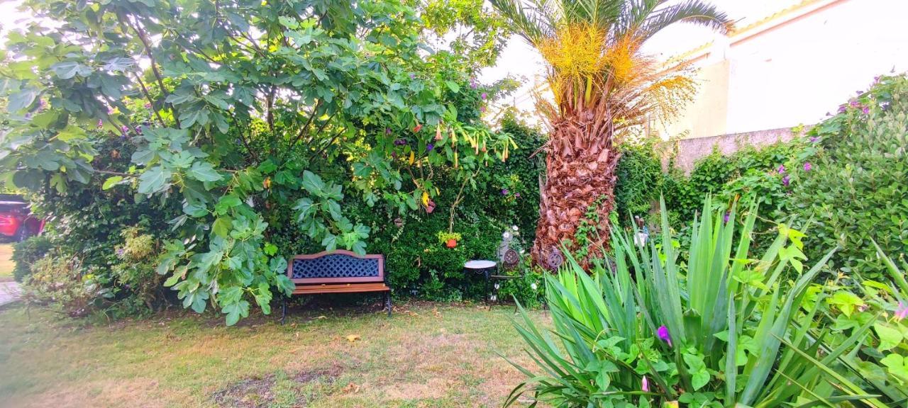 Pisos Vistalegre 2B Con Jardin Cerca Del Mar Διαμέρισμα Sanxenxo Εξωτερικό φωτογραφία